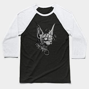 Sphynx Baseball T-Shirt